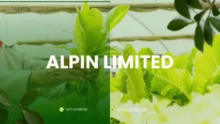Alpin