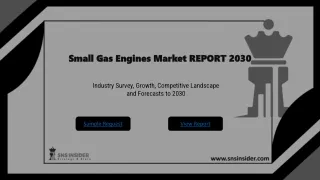 Small Gas Engines Market