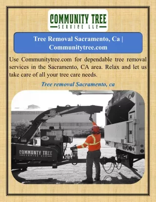 Tree Removal Sacramento, Ca   Communitytree.com