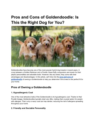 pros and cons of goldendoodle