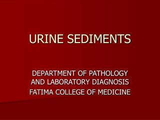 URINE SEDIMENTS