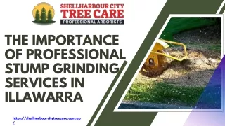 The Importance of Professional Stump Grinding Services in Illawarra