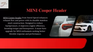 MINI Cooper Header