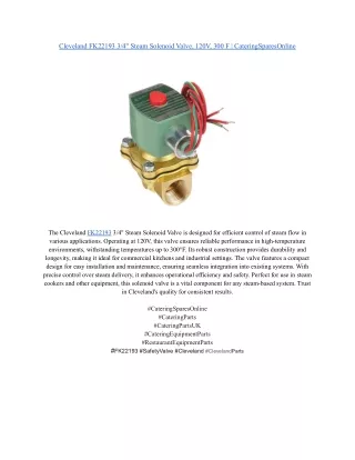 Cleveland FK22193 3_4_ Steam Solenoid Valve, 120V, 300 F _ CateringSparesOnline