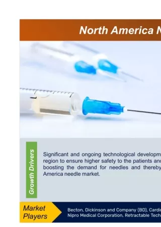 North America Needle Market Analytical Overview and Size by 2030