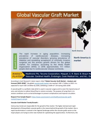 Vascular Graft Market Competitive Analysis and Forecast 2025-2030