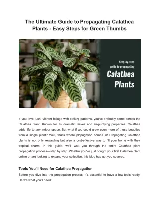 The Ultimate Guide to Propagating Calathea Plants - Easy Steps for Green Thumbs