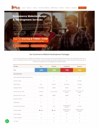 Ecommerce Website Design & Development Services