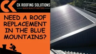 Need a Roof Replacement in the Blue Mountains?