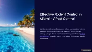 Effective Rodent Control in Miami - V Pest Control