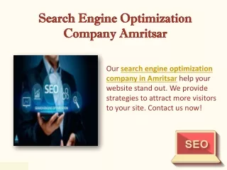 Search Engine Optimization Company Amritsar