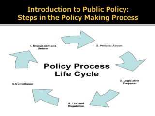 Introduction to Public Policy: Steps in the Policy Making Process