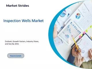 Inspection Wells Market: Insights and Forecast to 2031 | Market Strides