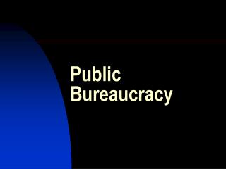 Public Bureaucracy