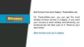 Best Furnace Tune Up In Calgary  Theductibles.com