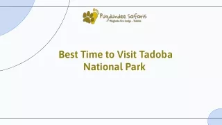 Best Time to Visit Tadoba National Park