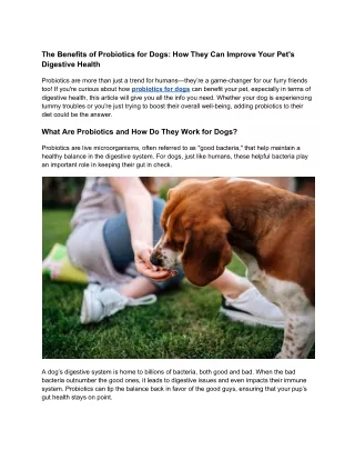 Probiotics for Dogs: The Key to Better Digestion and Healthier Pets