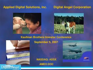 Kaufman Brothers Investor Conference September 5, 2007