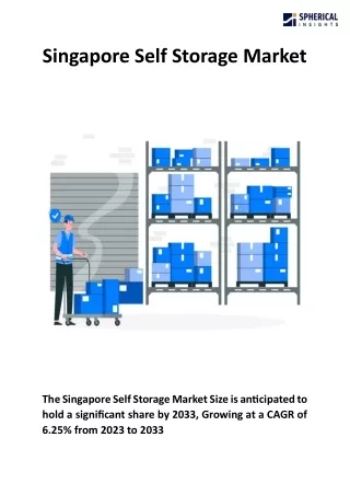 Singapore Self Storage Market