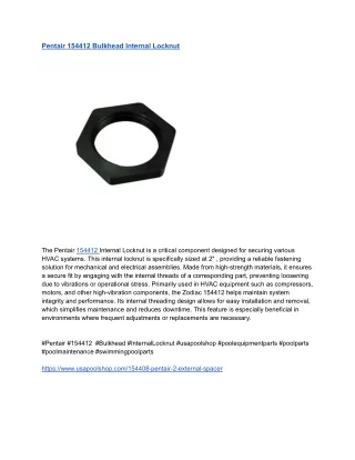 Pentair 154412 Bulkhead Internal Locknut