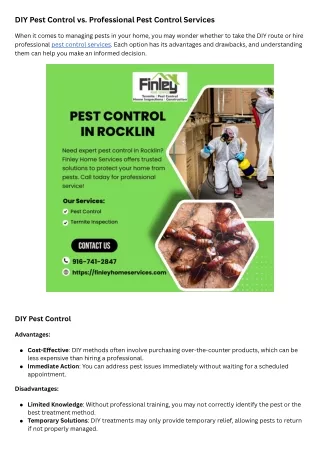DIY Pest Control vs. Professional Pest Control Services