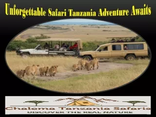 Unforgettable Safari Tanzania Adventure Awaits