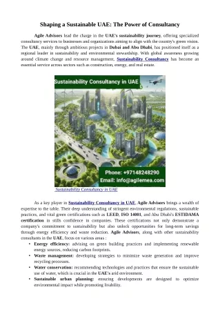 Shaping a Sustainable UAE: The Power of Consultancy