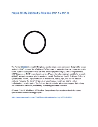 Pentair 154492 Bulkhead O-Ring Seal 3_16_ X 2-5_8_ ID