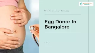 Egg Donor In Bangalore | World Fertility Services