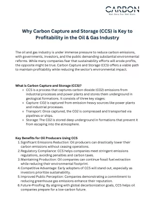 Why Carbon Capture and Storage (CCS) is Key to Profitability in the Oil & Gas Industry