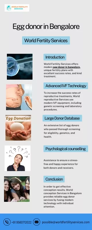 Egg donor in Bengalore