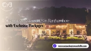 new year packages in ranthambore