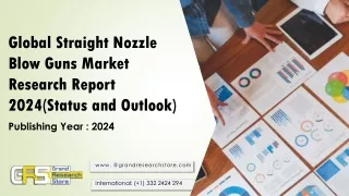 Global Straight Nozzle Blow Guns Market Research Report 2024(Status and Outlook)