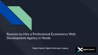 Reasons to Hire a Professional Ecommerce Web Development Agency in Noida