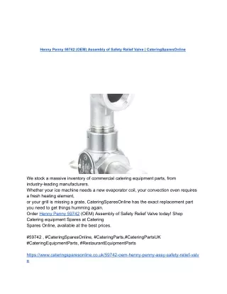 Henny Penny 59742 (OEM) Assembly of Safety Relief Valve _ CateringSparesOnline