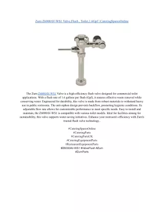 Zurn Z6000AV-WS1 Valve,Flush , Toilet,1.6Gpf _ CateringSparesOnline