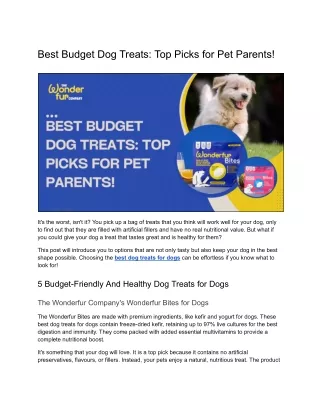 Best Budget Dog Treats_ Top Picks for Pet Parents