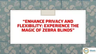 “Enhance Privacy And Flexibility Experience The Magic Of Zebra Blinds”