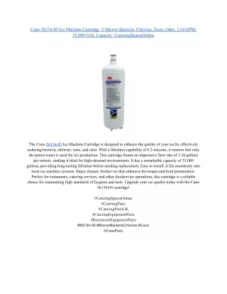 Cuno 56134-05 Ice Machine Cartridge .2 Micron Bacteria, Chlorine, Taste, Odor, 3.34 GPM, 35,000 GAL Capacity _ CateringS