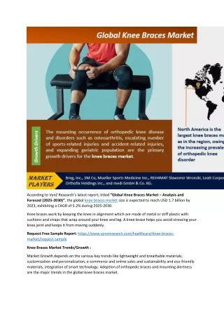 Knee Braces Market In-Depth Analysis & Forecast (2025-2030)