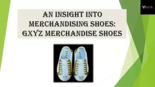 An Insight Into Merchandising Shoes GXYZ Merchandise Shoes