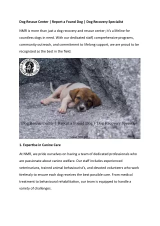 Dog Rescue center  Report a Found Dog  Dog Recovery Specialist