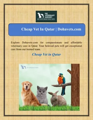 Cheap Vet in Qatar