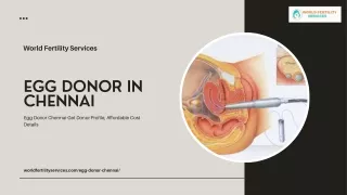 Egg Donor In Chennai | World Fertility Services
