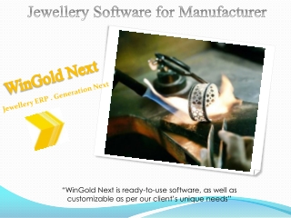 Jewellery Software for Manufacturer