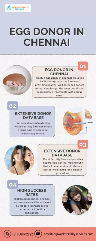 Egg Donor In Chennai | World Fertility Services