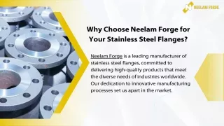 Why Choose Neelam Forge for Your Stainless Steel Flanges.