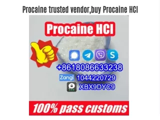 Procaine trusted vendor,buy Procaine HCI on sale