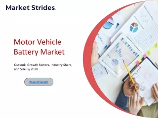 Motor Vehicle Battery Market