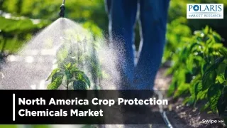 North America Crop Protection Chemicals Market